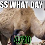 Blaze it if u know what i mean | GUESS WHAT DAY IT IS 4/20 | image tagged in guess what day it is...... empire wednesday  | made w/ Imgflip meme maker