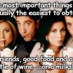 Friends-Milkshakes | The most important things are actually the easiest to obtain: great friends, good food and a decent bottle of wine  ...or a milkshake | image tagged in friends-milkshakes | made w/ Imgflip meme maker