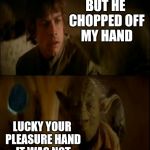 Luke & Yoda talk | BUT HE CHOPPED OFF MY HAND LUCKY YOUR PLEASURE HAND IT WAS NOT | image tagged in luke  yoda talk | made w/ Imgflip meme maker
