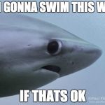 Awkward Shark | I'M GONNA SWIM THIS WAY IF THATS OK | image tagged in awkward shark | made w/ Imgflip meme maker