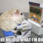 hamster arcade | I HAVE NO IDEA WHAT I'M DOING | image tagged in hamster arcade | made w/ Imgflip meme maker