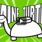 Mine Turtle meme