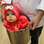 babylobster