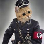 Nazi cat in uniform meme