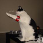 Nazi salute cat meme