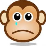 crying monkey