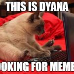 quit looking at cats online | THIS IS DYANA LOOKING FOR MEMES. | image tagged in quit looking at cats online | made w/ Imgflip meme maker