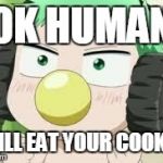 Baby Beel's music | OK HUMAN I WILL EAT YOUR COOKIES | image tagged in baby beel's music | made w/ Imgflip meme maker