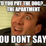 You don't say | WHERE'D YOU PUT THE DOG?...INSIDE THE APARTMENT | image tagged in you don't say | made w/ Imgflip meme maker