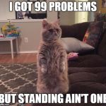 Standing Cat | I GOT 99 PROBLEMS BUT STANDING AIN'T ONE | image tagged in standing cat | made w/ Imgflip meme maker