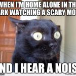 Ohgodohgodohgodohgodohgod | WHEN I'M HOME ALONE IN THE DARK WATCHING A SCARY MOVIE AND I HEAR A NOISE | image tagged in scared cat,memes,horror,movie,scary,home alone | made w/ Imgflip meme maker