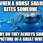 sharks | WHEN A NURSE SHARK BITES SOMEONE... WHY DO THEY ALWAYS SHOW A PICTURE OF A GREAT WHITE? | image tagged in sharks | made w/ Imgflip meme maker