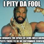 Mr T | I PITY DA FOOL WHO INVADES THE SPACE OF SEMI-WILD ANIMALS AND EXPECTS THERE TO BE NO UNTOWARD CONSEQUENCES. | image tagged in memes,mr t | made w/ Imgflip meme maker