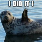 Seal | I  DID  IT  ! | image tagged in seal | made w/ Imgflip meme maker