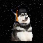 Space Graduation Dog
