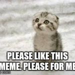 Sad Cat | PLEASE LIKE THIS MEME. PLEASE FOR ME. | image tagged in memes,sad cat | made w/ Imgflip meme maker