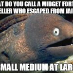 Bad Joke Eel Meme Generator - Imgflip