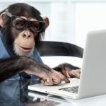 monkey_computer