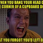 Kirk yelling 2 | WHEN YOU BANG YOUR HEAD ON THE CORNER OF A CUPBOARD DOOR THAT YOU FORGOT YOU'D LEFT OPEN | image tagged in kirk yelling 2,star trek | made w/ Imgflip meme maker