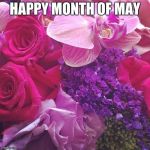 Flowers | HAPPY MONTH OF MAY | image tagged in flowers | made w/ Imgflip meme maker