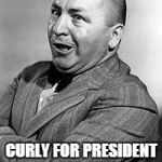 Curly For President | CURLY FOR PRESIDENT 2016 | image tagged in memes,curley | made w/ Imgflip meme maker