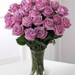 purple roses in vase
