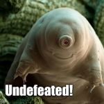 tardigrade meme | Undefeated! | image tagged in tardigrade meme | made w/ Imgflip meme maker