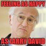 Larry David Risk | FEELING AS HAPPY AS LARRY DAVID | image tagged in larry david risk | made w/ Imgflip meme maker