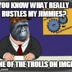Seriously, If you're gonna be a troll, at least be good at it | YOU KNOW WHAT REALLY RUSTLES MY JIMMIES? NONE OF THE TROLLS ON IMGFLIP | image tagged in you know what really grinds my jimmies,scumbag,you know what really grinds my gears,memes,funny,troll face | made w/ Imgflip meme maker