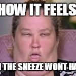 I hate it when this happens | HOW IT FEELS WHEN THE SNEEZE WONT HAPPEN | image tagged in whatever123 | made w/ Imgflip meme maker