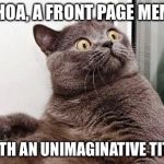 Gray cat spazzes out | WHOA, A FRONT PAGE MEME WITH AN UNIMAGINATIVE TITLE | image tagged in surprised cat,imgflip | made w/ Imgflip meme maker