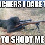 monkeys n guns | POACHERS I DARE YOU TO SHOOT ME | image tagged in monkeys n guns | made w/ Imgflip meme maker