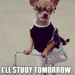 shopping | I'LL STUDY TOMORROW. | image tagged in shopping | made w/ Imgflip meme maker