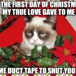 Grumpy Cat Mistletoe | ON THE FIRST DAY OF CHRISTMAS, MY TRUE LOVE GAVE TO ME SOME DUCT TAPE TO SHUT YOU UP. | image tagged in memes,grumpy cat mistletoe,grumpy cat | made w/ Imgflip meme maker