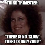 zuul | THIRD TRIMESTER: "THERE IS NO 'GLOW', THERE IS ONLY ZUUL!" | image tagged in zuul | made w/ Imgflip meme maker