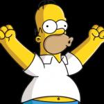 homer excited
