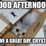 Cute Kittens | GOOD AFTERNOON! HAVE A GREAT DAY, CRYSTAL! | image tagged in cute kittens | made w/ Imgflip meme maker