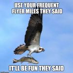 fish | USE YOUR FREQUENT FLYER MILES THEY SAID IT'LL BE FUN THEY SAID | image tagged in fish | made w/ Imgflip meme maker