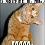 awkward silence | YOU'RE NOT THAT PRETTY? AWWWW... | image tagged in stupid cat,memes | made w/ Imgflip meme maker