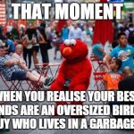 Sad Elmo | THAT MOMENT WHEN YOU REALISE YOUR BEST FRIENDS ARE AN OVERSIZED BIRD AND A GUY WHO LIVES IN A GARBAGE BIN | image tagged in sad elmo | made w/ Imgflip meme maker