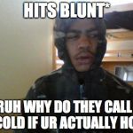 Hits Blunt | HITS BLUNT* BRUH WHY DO THEY CALL IT A COLD IF UR ACTUALLY HOT? | image tagged in hits blunt | made w/ Imgflip meme maker