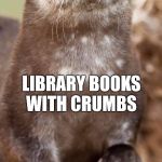 Disapproving Otter | LIBRARY BOOKS WITH CRUMBS I DO NOT APPROVE | image tagged in disapproving otter | made w/ Imgflip meme maker