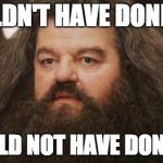 Hagrid | SHOULDN'T HAVE DONE THAT I SHOULD NOT HAVE DONE THAT | image tagged in hagrid | made w/ Imgflip meme maker