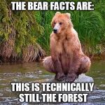 The Bear Facts | THE BEAR FACTS ARE: THIS IS TECHNICALLY STILL THE FOREST | image tagged in the bear facts | made w/ Imgflip meme maker