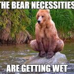 The Bear Facts | THE BEAR NECESSITIES ARE GETTING WET | image tagged in the bear facts | made w/ Imgflip meme maker
