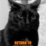Right meow | MEME CATS RETURN TO THE CATSHIP | image tagged in pissed cat | made w/ Imgflip meme maker