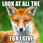Fox | LOOK AT ALL THE FOX I GIVE | image tagged in fox | made w/ Imgflip meme maker