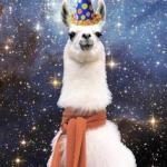 Happy Birthday Alpaca meme