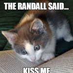 Reading cat | THE RANDALL SAID... KISS ME | image tagged in reading cat | made w/ Imgflip meme maker