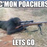 Sniper monkey | C'MON POACHERS LETS GO | image tagged in sniper monkey | made w/ Imgflip meme maker